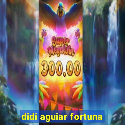 didi aguiar fortuna